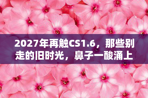 2027年再触CS1.6,那些别走的旧时光,鼻子一酸涌上心头 2027年再触CS1.6,那些别走的旧时光,鼻子一酸涌上心头