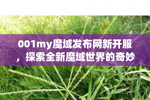 001my魔域发布网新开服图片