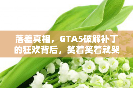 落差真相,GTA5破解补丁的狂欢背后,笑着笑着就哭了 落差真相,GTA5破解补丁的狂欢背后,笑着笑着就哭了