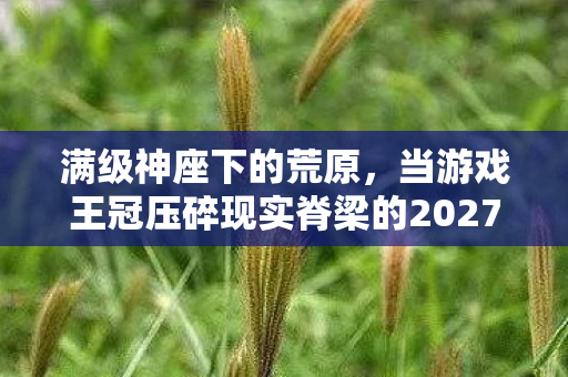 满级神座下的荒原，当游戏王冠压碎现实脊梁的2027悖论