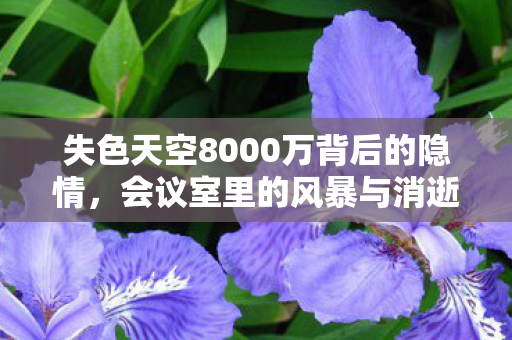 失色天空8000万背后的隐情，会议室里的风暴与消逝的玩法