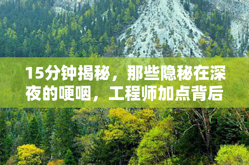 15分钟揭秘,那些隐秘在深夜的哽咽,工程师加点背后的青春烙印 15分钟揭秘,那些隐秘在深夜的哽咽,工程师加点背后的青春烙印
