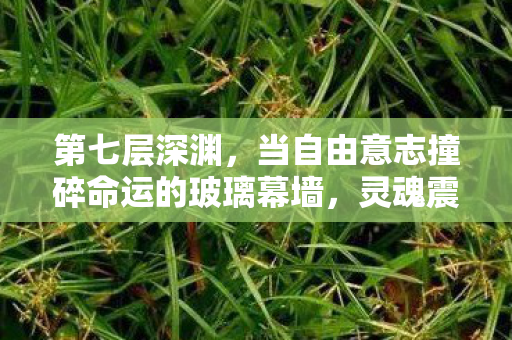 第七层深渊,当自由意志撞碎命运的玻璃幕墙,灵魂震颤的终极悖论 第七层深渊,当自由意志撞碎命运的玻璃幕墙,灵魂震颤的终极悖论