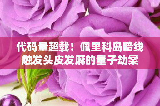 代码量超载!佩里科岛暗线触发头皮发麻的量子劫案 代码量超载!佩里科岛暗线触发头皮发麻的量子劫案
