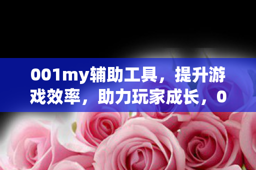001my辅助工具图片