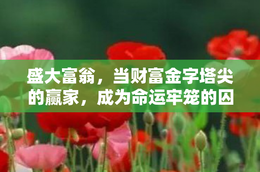 盛大富翁,当财富金字塔尖的赢家,成为命运牢笼的囚徒 盛大富翁,当财富金字塔尖的赢家,成为命运牢笼的囚徒