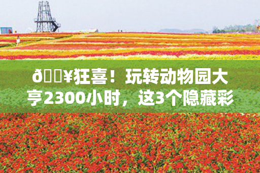 🔥狂喜!玩转动物园大亨2300小时,这3个隐藏彩蛋让我破防了! 🔥狂喜!玩转动物园大亨2300小时,这3个隐藏彩蛋让我破防了!