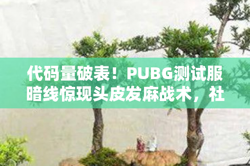 代码量破表!PUBG测试服暗线惊现头皮发麻战术,社恐指挥官的末日狂欢 代码量破表!PUBG测试服暗线惊现头皮发麻战术,社恐指挥官的末日狂欢