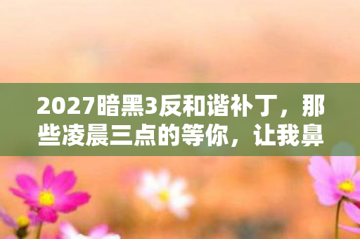 2027暗黑3反和谐补丁，那些凌晨三点的等你，让我鼻子一酸