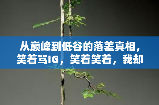 从巅峰到低谷的落差真相,笑着骂IG,笑着笑着,我却哭了 从巅峰到低谷的落差真相,笑着骂IG,笑着笑着,我却哭了