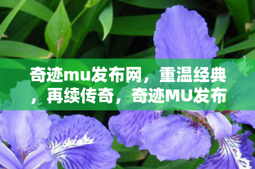奇迹mu发布网，重温经典，再续传奇，奇迹MU发布网，重温经典，再续传奇之旅