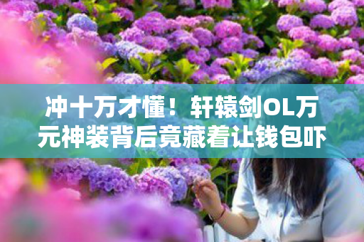 冲十万才懂！轩辕剑OL万元神装背后竟藏着让钱包吓一跳的隐情