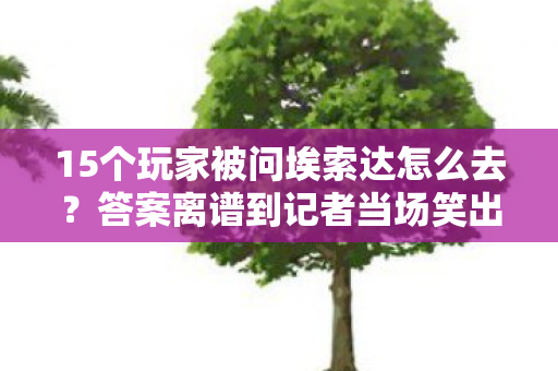 15个玩家被问埃索达怎么去？答案离谱到记者当场笑出腹肌！