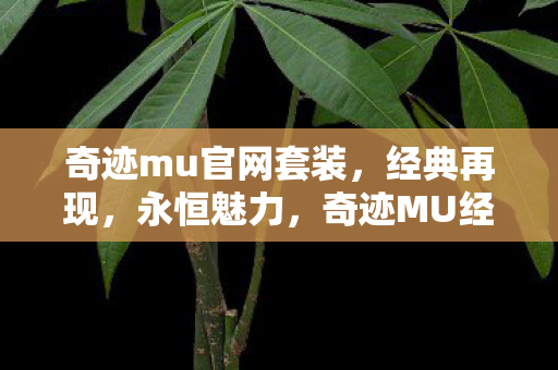 奇迹mu官网套装，经典再现，永恒魅力，奇迹MU经典套装再现永恒魅力
