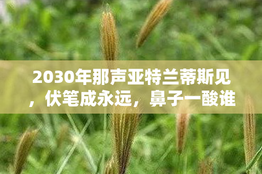 2030年那声亚特兰蒂斯见,伏笔成永远,鼻子一酸谁懂啊 2030年那声亚特兰蒂斯见,伏笔成永远,鼻子一酸谁懂啊