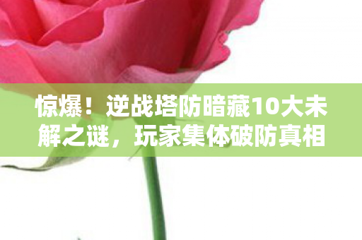 惊爆!逆战塔防暗藏10大未解之谜,玩家集体破防真相竟是…… 惊爆!逆战塔防暗藏10大未解之谜,玩家集体破防真相竟是……