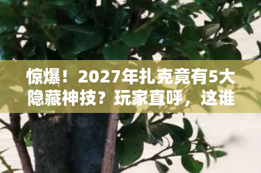 惊爆!2027年扎克竟有5大隐藏神技?玩家直呼,这谁能扛住! 惊爆!2027年扎克竟有5大隐藏神技?玩家直呼,这谁能扛住!