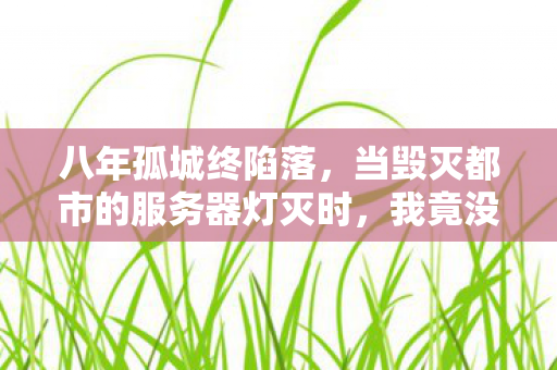 八年孤城终陷落,当毁灭都市的服务器灯灭时,我竟没掉一滴泪 八年孤城终陷落,当毁灭都市的服务器灯灭时,我竟没掉一滴泪