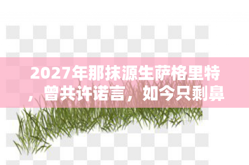 2027年那抹源生萨格里特,曾共许诺言,如今只剩鼻子一酸的回忆 2027年那抹源生萨格里特,曾共许诺言,如今只剩鼻子一酸的回忆