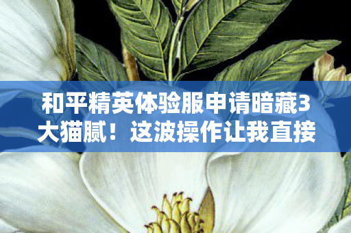 和平精英体验服申请暗藏3大猫腻!这波操作让我直接上头到裂开 和平精英体验服申请暗藏3大猫腻!这波操作让我直接上头到裂开