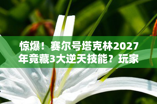惊爆!赛尔号塔克林2027年竟藏3大逆天技能?玩家集体沸腾! 惊爆!赛尔号塔克林2027年竟藏3大逆天技能?玩家集体沸腾!