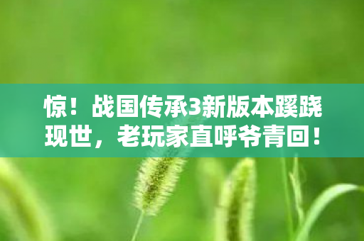 惊!战国传承3新版本蹊跷现世,老玩家直呼爷青回! 惊!战国传承3新版本蹊跷现世,老玩家直呼爷青回!