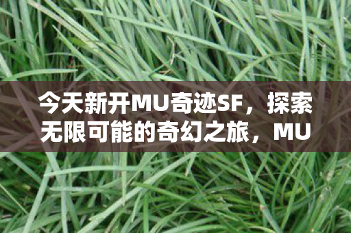 今天新开MU奇迹SF,探索无限可能的奇幻之旅,MU奇迹SF,开启无限可能的奇幻冒险之旅 今天新开MU奇迹SF,探索无限可能的奇幻之旅,MU奇迹SF,开启无限可能的奇幻冒险之旅