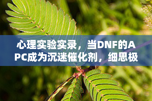 心理实验实录，当DNF的APC成为沉迷催化剂，细思极恐的多巴胺陷阱