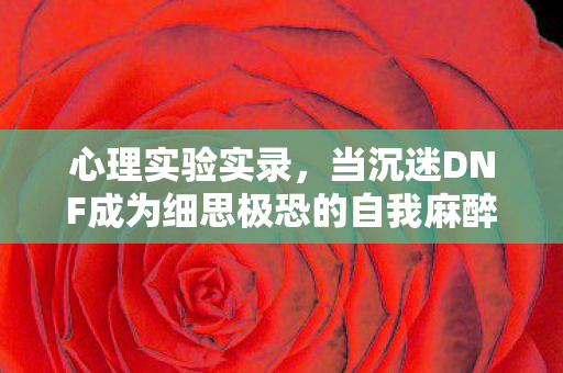 心理实验实录,当沉迷DNF成为细思极恐的自我麻醉剂 心理实验实录,当沉迷DNF成为细思极恐的自我麻醉剂