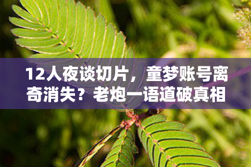 12人夜谈切片,童梦账号离奇消失?老炮一语道破真相绷不住了! 12人夜谈切片,童梦账号离奇消失?老炮一语道破真相绷不住了!