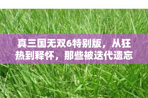 真三国无双6特别版,从狂热到释怀,那些被迭代遗忘又捡起的记忆 真三国无双6特别版,从狂热到释怀,那些被迭代遗忘又捡起的记忆