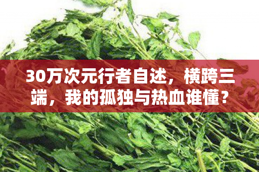 30万次元行者自述,横跨三端,我的孤独与热血谁懂? 30万次元行者自述,横跨三端,我的孤独与热血谁懂?
