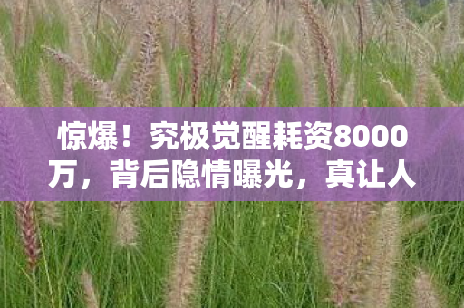 惊爆!究极觉醒耗资8000万,背后隐情曝光,真让人吓一跳! 惊爆!究极觉醒耗资8000万,背后隐情曝光,真让人吓一跳!
