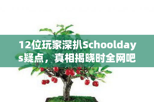 12位玩家深扒Schooldays疑点,真相揭晓时全网吧都绷不住了! 12位玩家深扒Schooldays疑点,真相揭晓时全网吧都绷不住了!