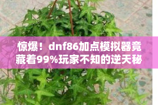 惊爆!dnf86加点模拟器竟藏着99%玩家不知的逆天秘密? 惊爆!dnf86加点模拟器竟藏着99%玩家不知的逆天秘密?