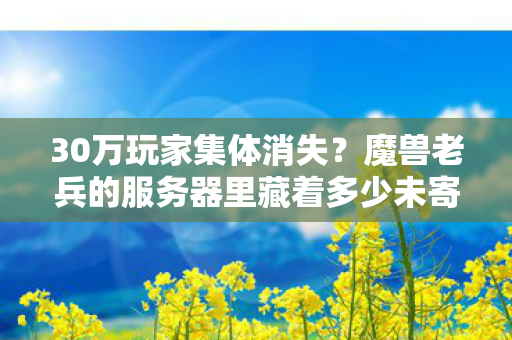 30万玩家集体消失?魔兽老兵的服务器里藏着多少未寄出的信 30万玩家集体消失?魔兽老兵的服务器里藏着多少未寄出的信