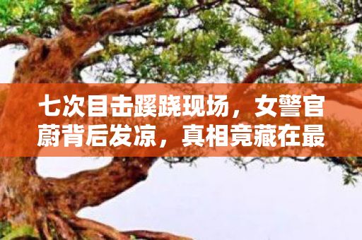 七次目击蹊跷现场，女警官蔚背后发凉，真相竟藏在最深处