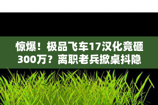 惊爆!极品飞车17汉化竟砸300万?离职老兵掀桌抖隐情,吓一跳! 惊爆!极品飞车17汉化竟砸300万?离职老兵掀桌抖隐情,吓一跳!