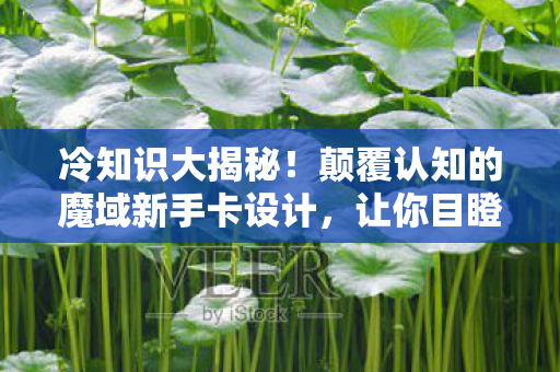 冷知识大揭秘!颠覆认知的魔域新手卡设计,让你目瞪口呆! 冷知识大揭秘!颠覆认知的魔域新手卡设计,让你目瞪口呆!