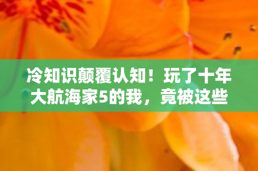 冷知识颠覆认知!玩了十年大航海家5的我,竟被这些细节打得目瞪口呆 冷知识颠覆认知!玩了十年大航海家5的我,竟被这些细节打得目瞪口呆
