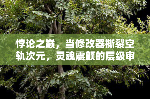 悖论之巅，当修改器撕裂空轨次元，灵魂震颤的层级审判