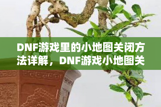 DNF游戏里的小地图关闭方法详解,DNF游戏小地图关闭方法全解析 DNF游戏里的小地图关闭方法详解,DNF游戏小地图关闭方法全解析