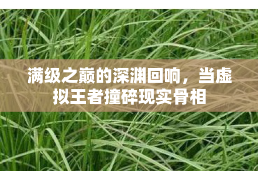 满级之巅的深渊回响,当虚拟王者撞碎现实骨相 满级之巅的深渊回响,当虚拟王者撞碎现实骨相