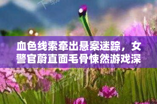 血色线索牵出悬案迷踪,女警官蔚直面毛骨悚然游戏深渊 血色线索牵出悬案迷踪,女警官蔚直面毛骨悚然游戏深渊
