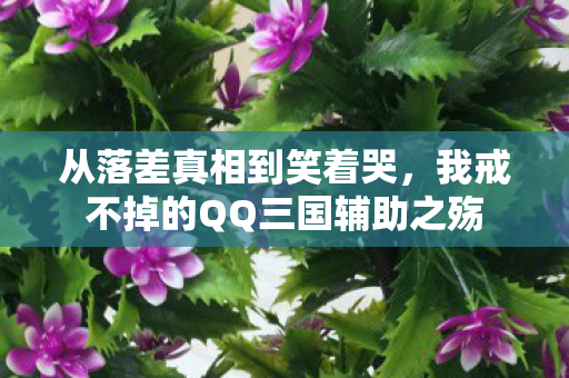 从落差真相到笑着哭，我戒不掉的QQ三国辅助之殇