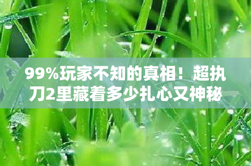 99%玩家不知的真相！超执刀2里藏着多少扎心又神秘的生死抉择？