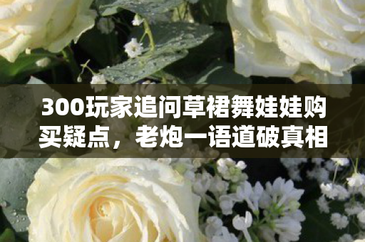 300玩家追问草裙舞娃娃购买疑点,老炮一语道破真相众人绷不住 300玩家追问草裙舞娃娃购买疑点,老炮一语道破真相众人绷不住