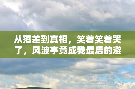 从落差到真相，笑着笑着哭了，风波亭竟成我最后的避难所