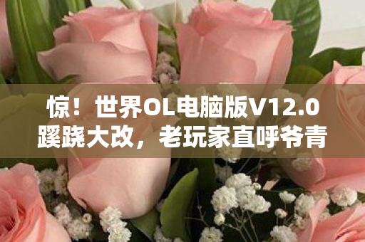 惊!世界OL电脑版V12.0蹊跷大改,老玩家直呼爷青结! 惊!世界OL电脑版V12.0蹊跷大改,老玩家直呼爷青结!