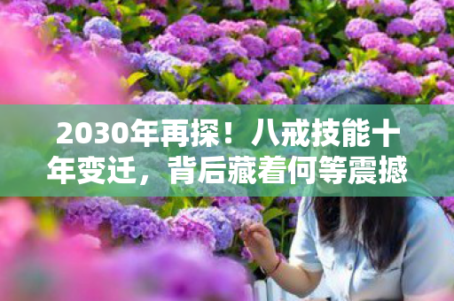 2030年再探！八戒技能十年变迁，背后藏着何等震撼秘密？